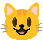 grinning face with big eyes + cat face