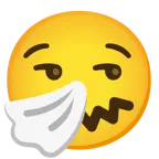 smirking face + sneezing face