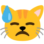 faccina abbattuta sudata + muso di gatto