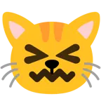 faccina frustrata + muso di gatto