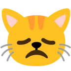 faccina delusa + muso di gatto