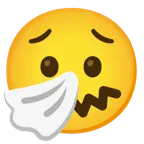 faccina preoccupata + faccina che starnutisce