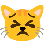 faccina perseverante + muso di gatto