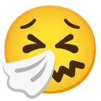faccina perseverante + faccina che starnutisce