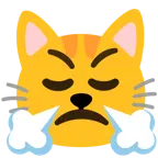 faccina che sbuffa + muso di gatto