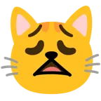 faccina esausta + muso di gatto