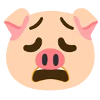 faccina esausta + muso di maiale