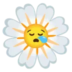 sleepy face + blossom