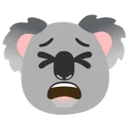 faccina stanca + koala