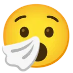 faccina sorpresa + faccina che starnutisce