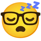 sleeping face + nerd face