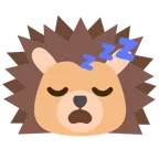sleeping face + hedgehog