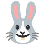 slightly smiling face + rabbit face