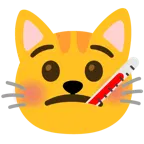 faccina con termometro + muso di gatto