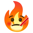 faccina con termometro + fuoco