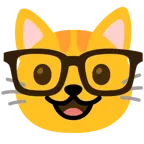 faccina nerd + muso di gatto