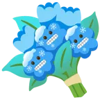 faccina congelata + mazzo di fiori