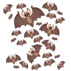 bat + bat