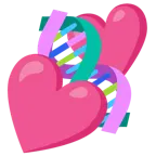 due cuori + dna
