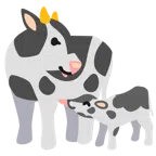 cow face + cow face