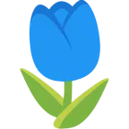 cuore blu + tulipano
