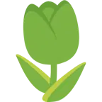 cuore verde + tulipano
