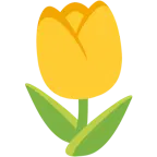 cuore giallo + tulipano