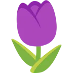cuore viola + tulipano