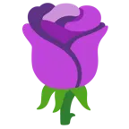 cuore viola + rosa