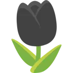 cuore nero + tulipano