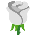 cuore bianco + rosa