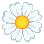 cuore bianco + fiore
