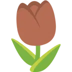 cuore marrone + tulipano
