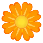 cuore arancione + fiore