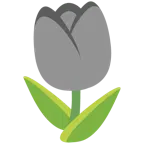 cuore grigio + tulipano