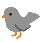 cuore grigio + uccello
