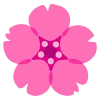 cuore rosa + fiore di ciliegio