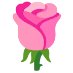 cuore rosa + rosa