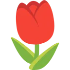 cuore rosso + tulipano