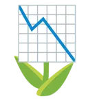tulipano + grafico con andamento negativo
