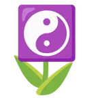 tulipano + Yin e Yang