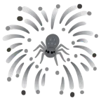 Feuerwerk + Spinne