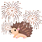 Feuerwerk + Igel