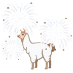 Feuerwerk + Lama
