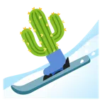 kayak + kaktüs