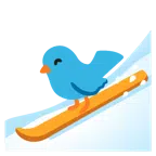 kayak + kuş