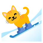 kayak + kedi yüzü