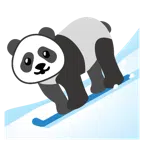 kayak + panda