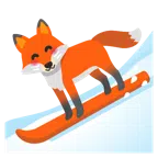 kayak + tilki