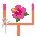 Football + Hibiskus